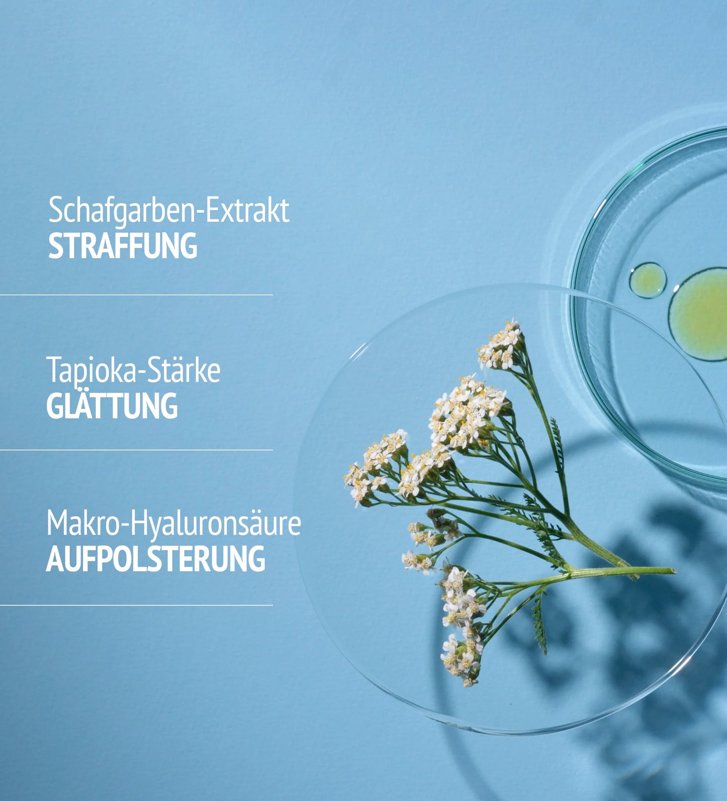 Sublime Skin Life-Mask